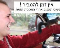 הסברים