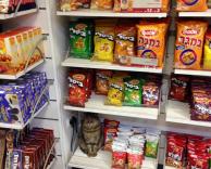 מה מוזר בתמונה?