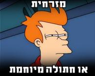 חתולות