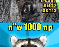 גורחי או גורמט?