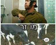 מוזר