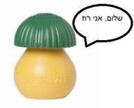 רוז