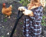 הכלב שלי חופר בורות בגינה