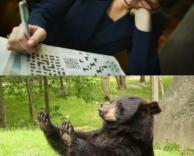 מה לגבי לא?!