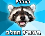 למה שלחו פרה?