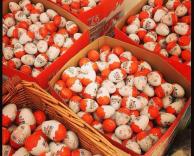 ביצי הפתעה מקוריות!