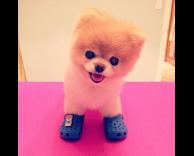 נעלייים חדשות!