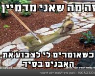 לצבוע בסיד