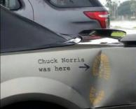 נוריס הזה, בכל מקום