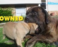 מה הוא מחפש שם?