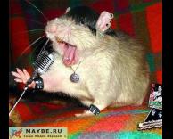 עכבר מטאליסט