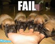 חמישה גורים חמודים