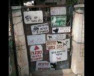 רגע, מה יש בחצר?