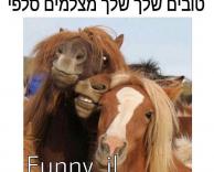 יצא טוב