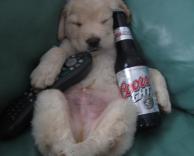 הגבר הממוצע