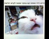 הודעות בבוקר