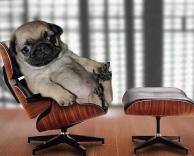 איך אוכל לעזור לך?