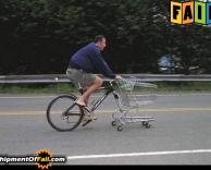 גנבתי עגלה והסוותי אותה