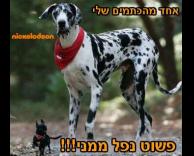 ככה סתם!