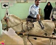 בדיקה בטחונית