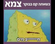 מיייייייייים