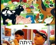 פעם