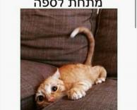 משהו כזה