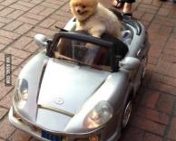 החתיכת כלבה הזאת כמעט פגעה בי!