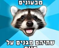 גזענים