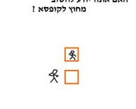 כן או לא?