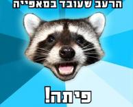 משחקי הרעב