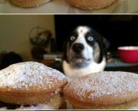 המבט שאומר הכל