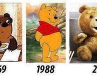 האבולוציה של הדובים