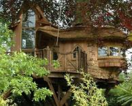 הייתם גרים בבית כזה?