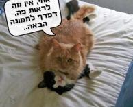 אוקי אחי תבלה.