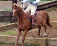 לא נראה טוב