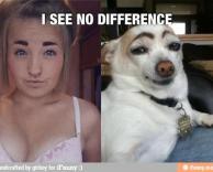 לא רואה הבדל