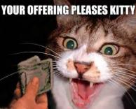 אתה משחד את חתולי?