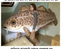 נסיכה נשארת נסיכה