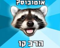 הרב קו