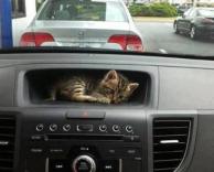 מי מסתתר בתמונה