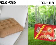 פתי