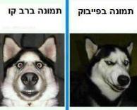 מצבים של תמונה