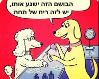 בושם מעולה