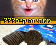 ממתי זה קיים!?!