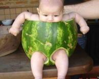 טיטול אבטיח