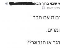 הנבורגר