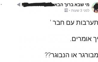 הנבורגר