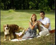 תמונת פיקניק משולמת