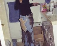 מתקפת חתולים